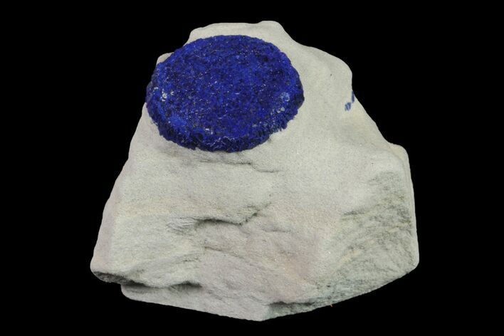 Vibrant, Blue Azurite Sun on Siltstone - Australia #155619